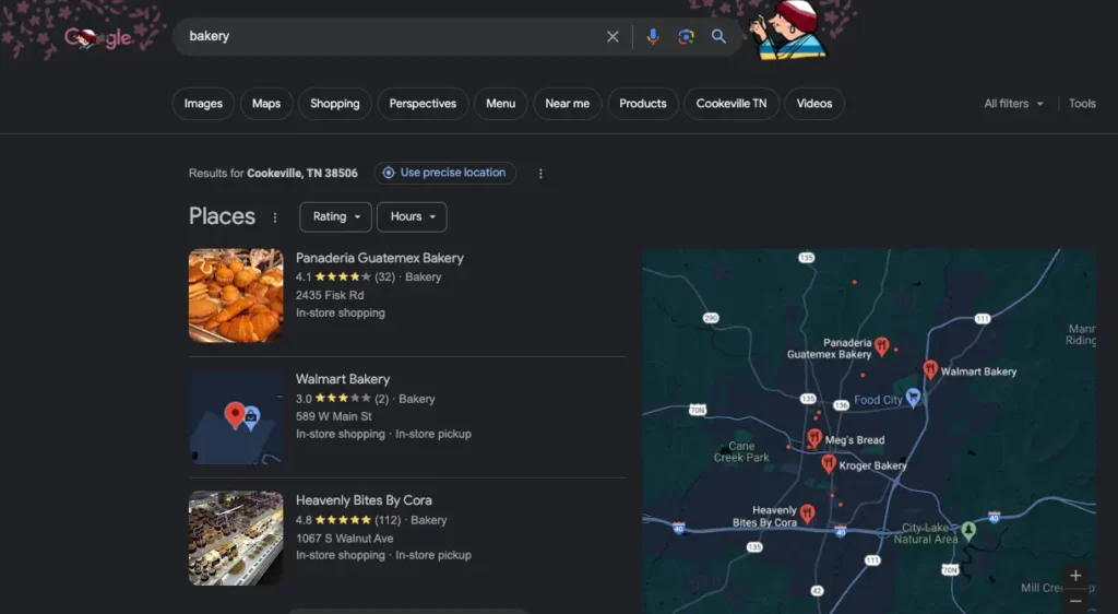 Local SEO Search Results