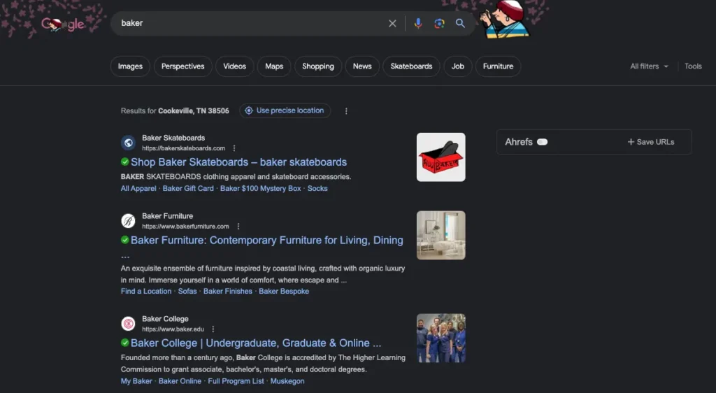 Organic SEO Search Results